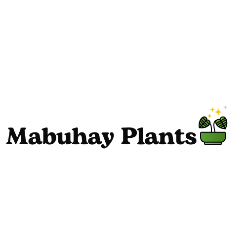 Mabuhay Plants with a graphic of a retro potted plant. Above the plant are 4 cosmic stars.